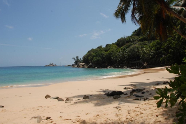 Seiten 8 41314806 768x514