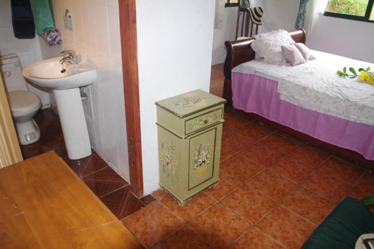 Papaya Selbstversorgung 8 46035020 768x511