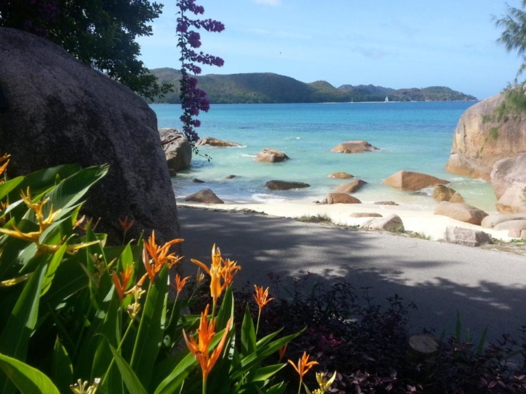 Jardin Marron 9 55744838 768x576