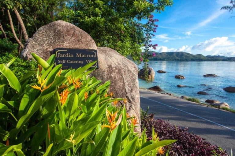 Jardin Marron 11 63679887 768x512