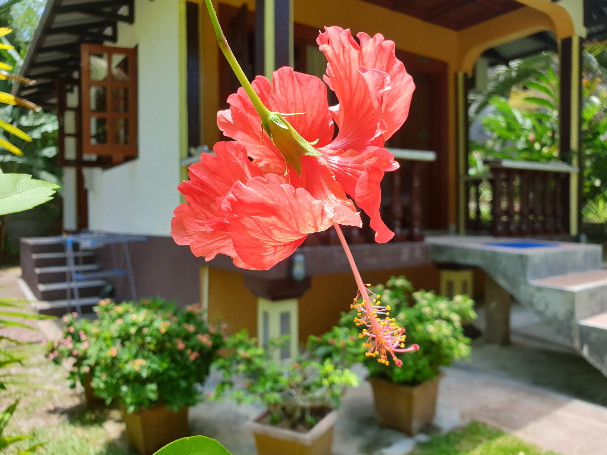 Granite Selbstversorgung 2 70371993 902696903436275 7743222097861672960 n