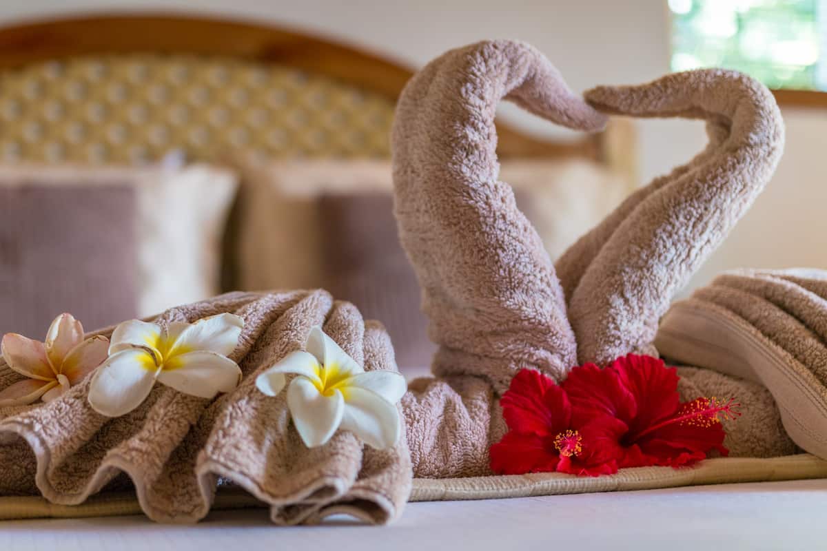 Bougainvillas Seychelles 3 77b370af fc9b 4a09 8785 dbdee57206ca