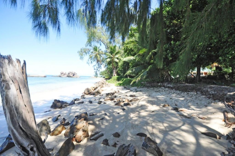 Yasad Luxury Beach Residence 7 79508750 768x510