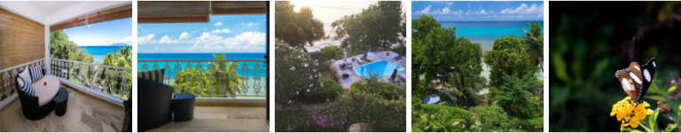 Bel Horizon 12 8128 768x150