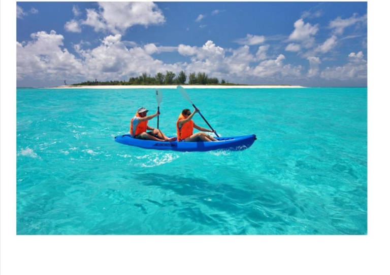 Bird Island Lodge 7 81674125 768x543