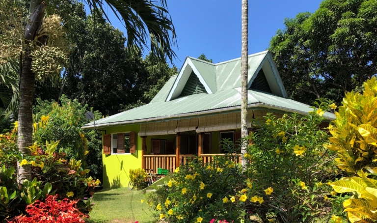 Bois D'amour 8 86800438 2724896670897279 4441527454338646016 n 768x454