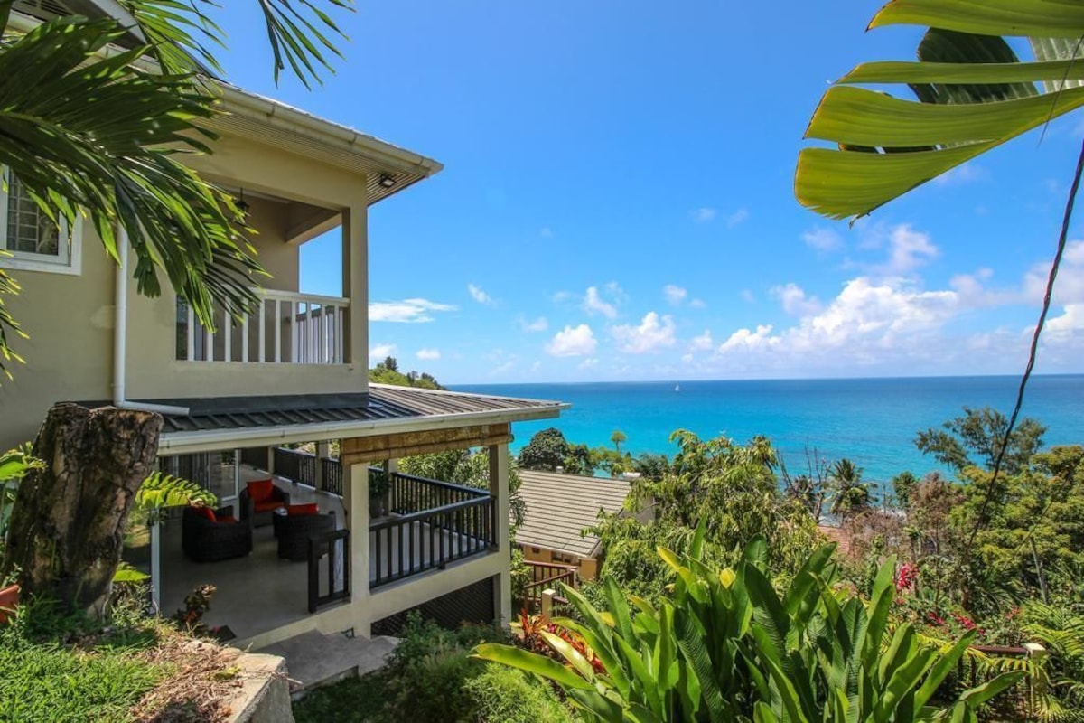 Kaz Bulinger 5 8752868d