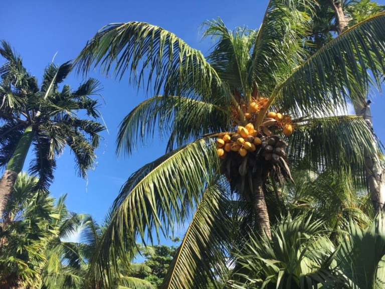 Seiten 4 88798275 768x576