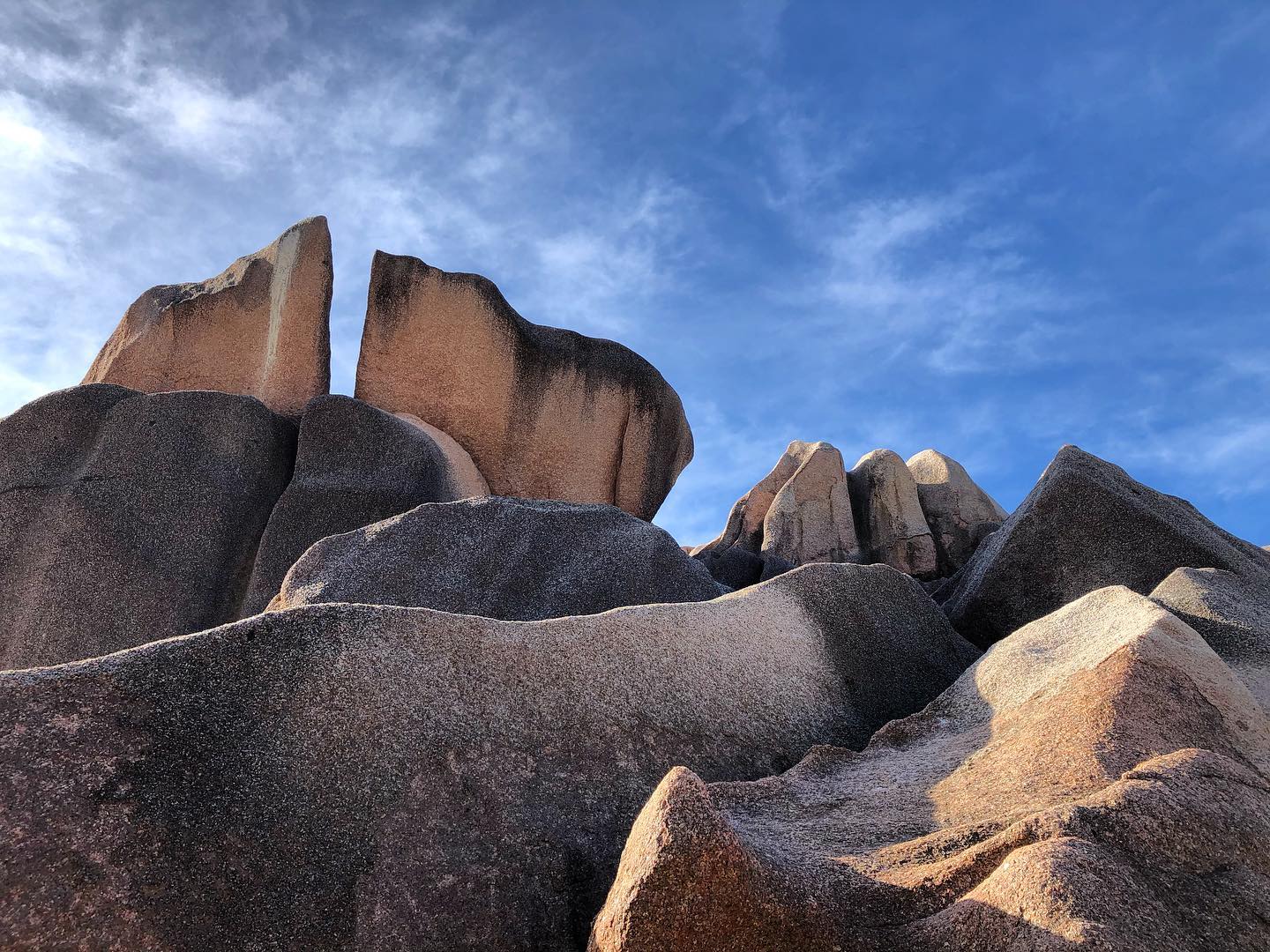 Bois D'amour 2 91694067 2826247000762245 1444963574039445504 n