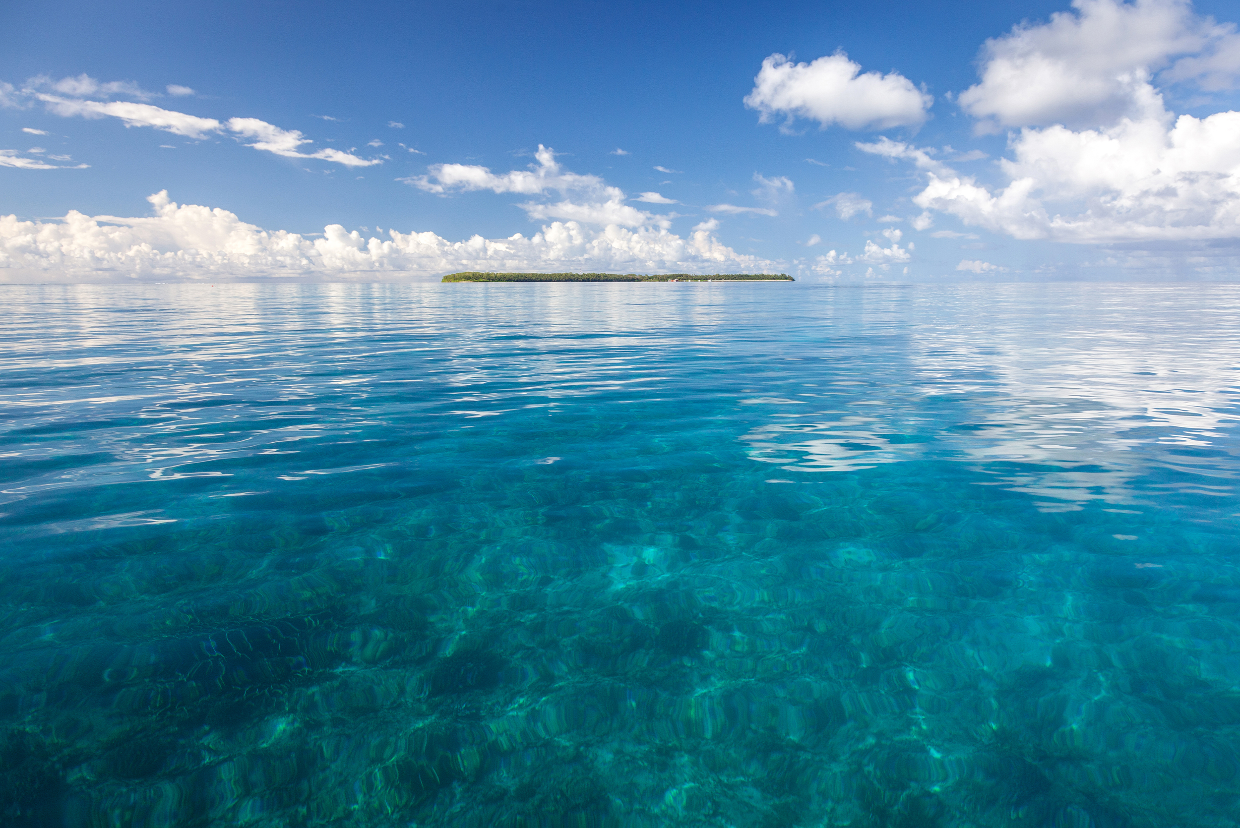 alphonse island home the island 4col 3rd 33percent 1 photo alphonse island destination with clear blue water and clouds