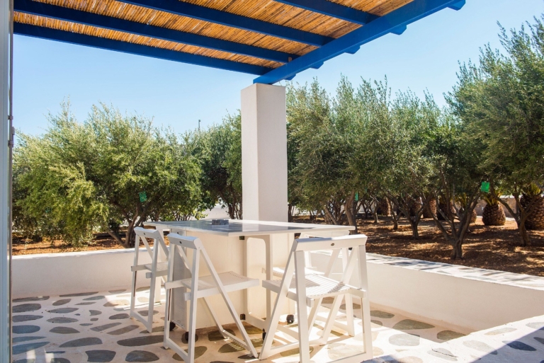 Seiten 1 anr 3367 768x513