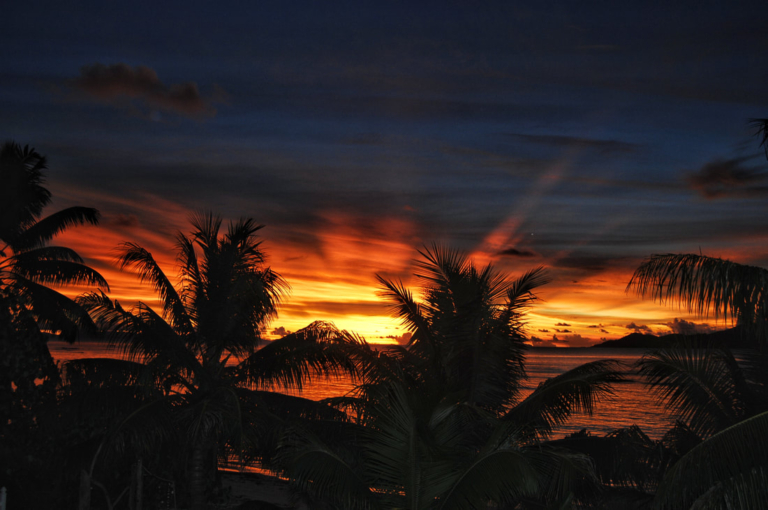 dsc 0161 1 01 orig 768x510