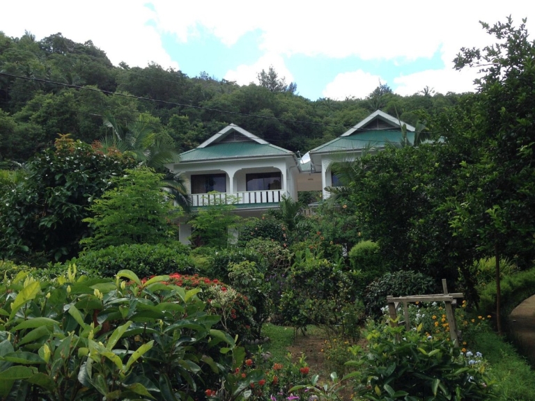 Evergreen Apartments 7 evergreen apartments 1 768x576