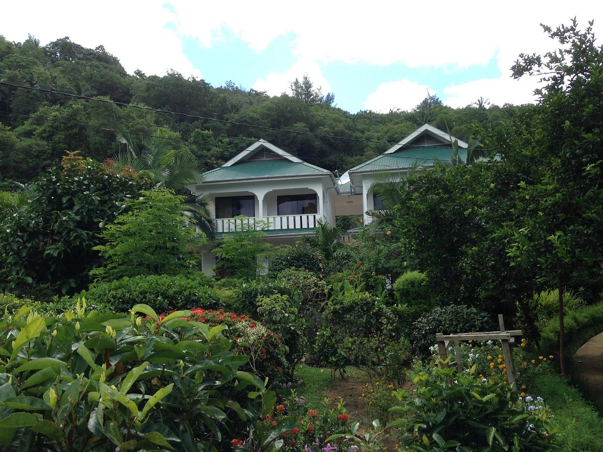 Evergreen Apartments 2 evergreen apartments 1