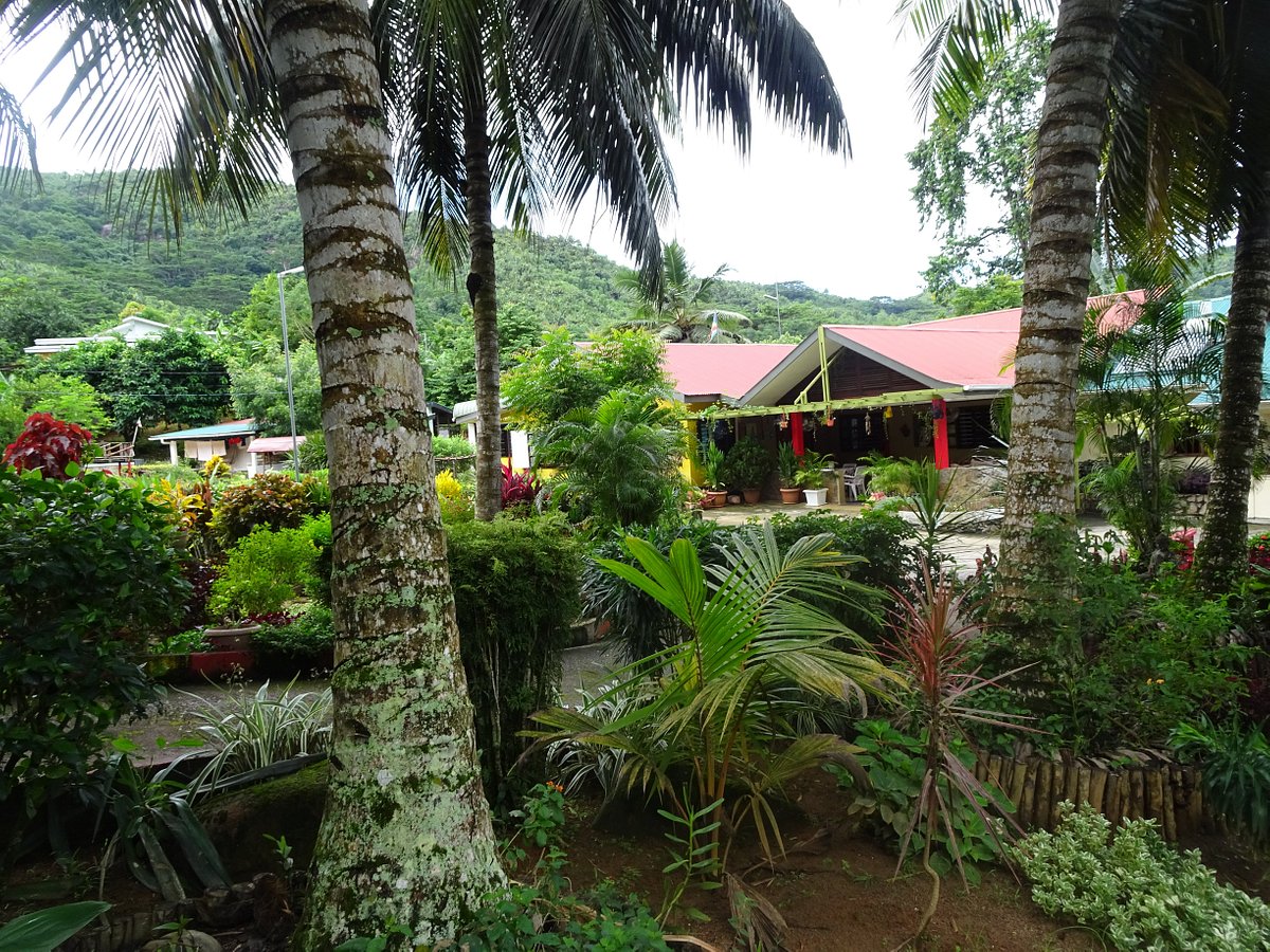 Evergreen Apartments 5 evergreen apartments