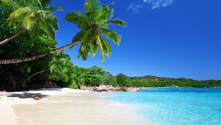 Seiten 7 full 146026744 112877500771935 4237863438063769657 n 1616135616 768x436