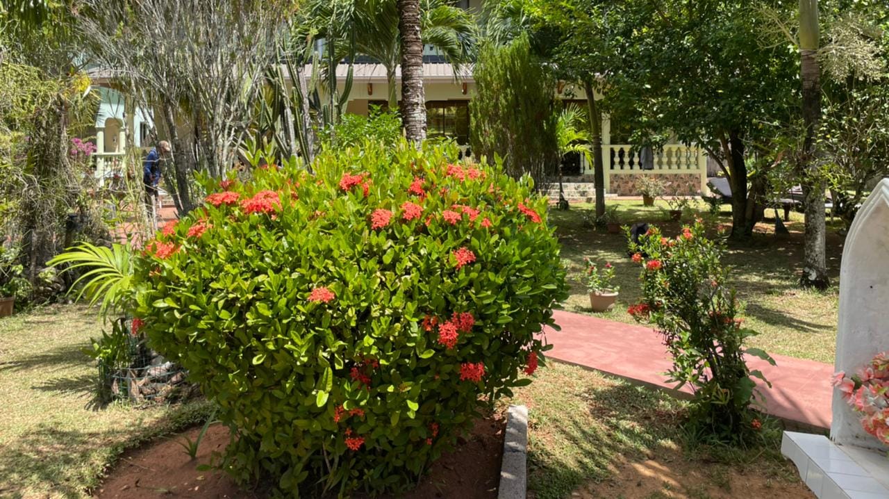 Green Palm Selbstversorgung Apartments 2 full 170012851 2563130070657999 6580796185724700316 n 1618053167