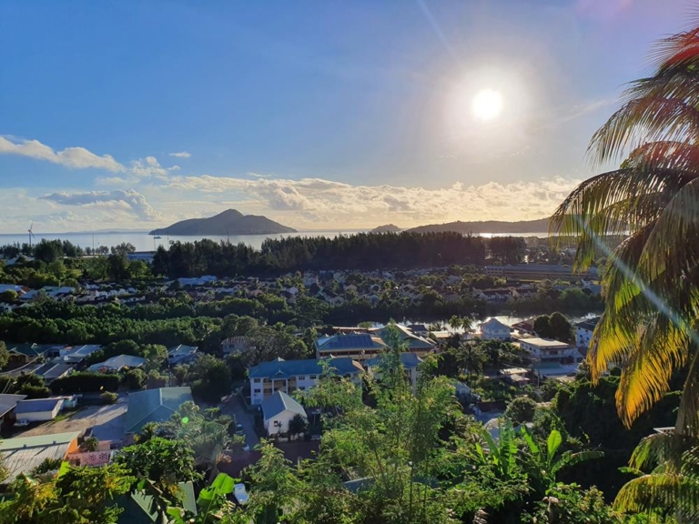 full 20200810 071709 copy  1605075894 768x576