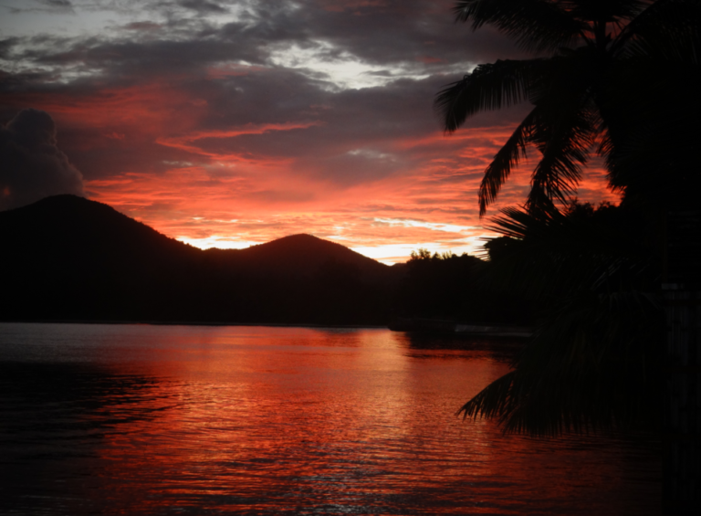 Seiten 8 full capture5 1441874944 768x565