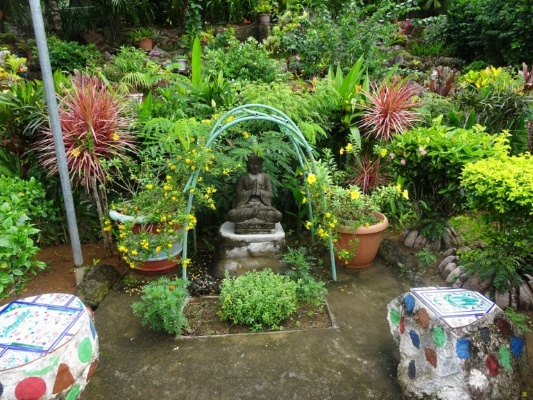 Evergreen Apartments 8 garden 1 768x576