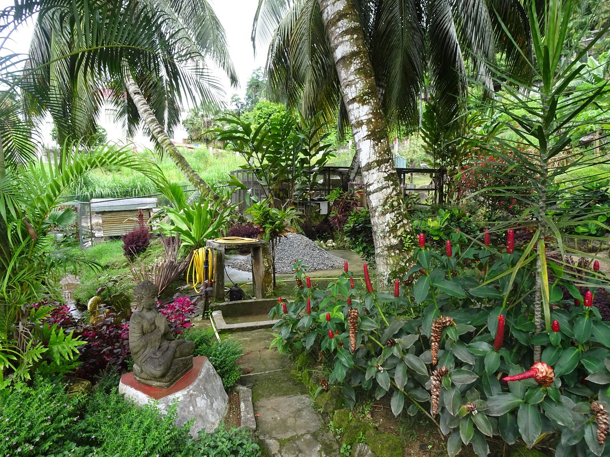 Evergreen Apartments 4 garden