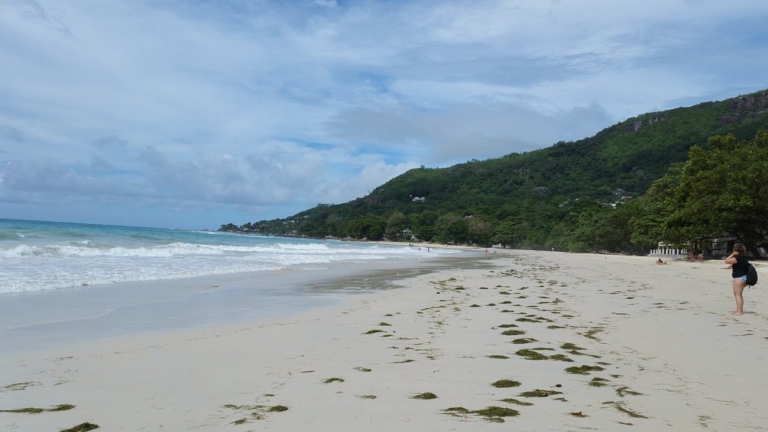 Georgina's Cottage 8 georgina s cottage beach 768x432