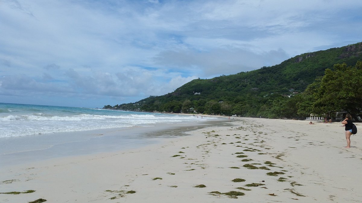 Georgina's Cottage 2 georgina s cottage beach