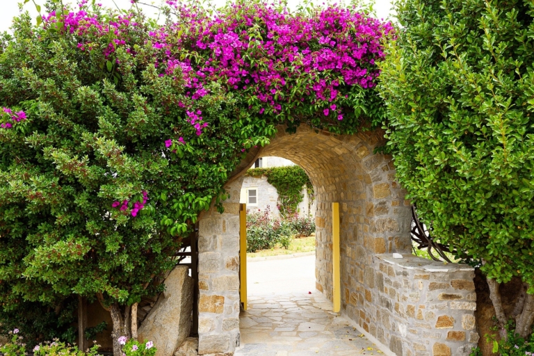 Villa Santa Maria 12 nrk 8000 768x512