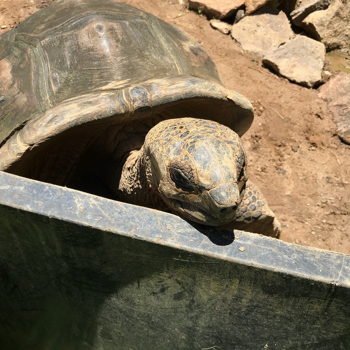 La Gayole 3 photo1jpg 2