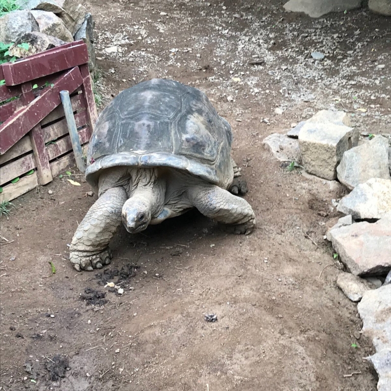 La Gayole 7 photo2jpg 768x768