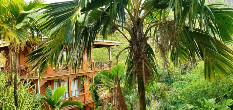 Villa Vanilla 16 206588278 4190553947649344 2657003800847060490 n 768x364