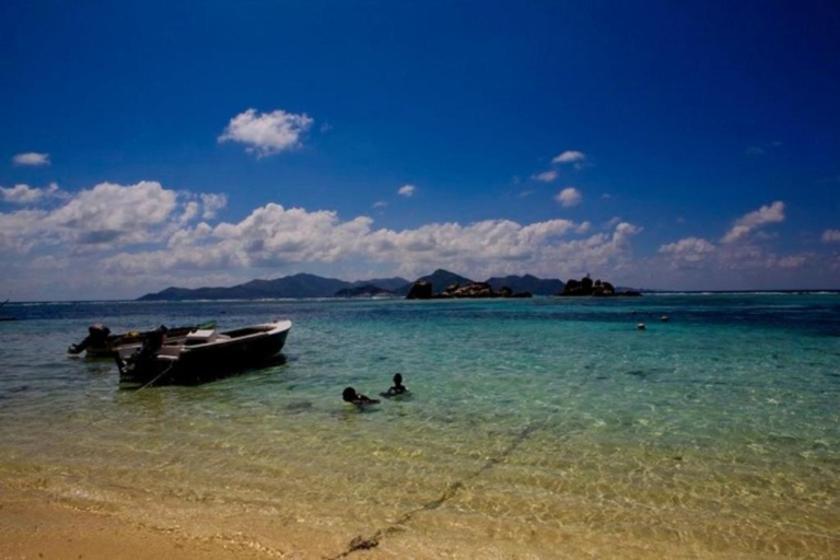 Seiten 6 22447814 768x512