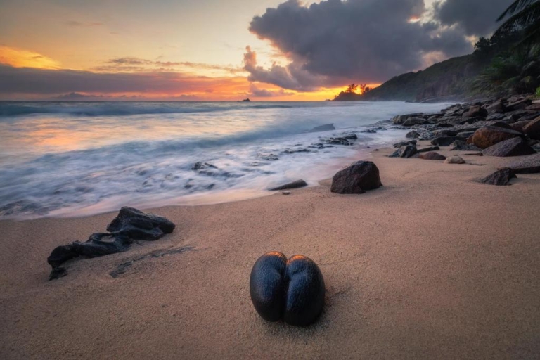 Domaine Desaubin 8 277337908 768x512