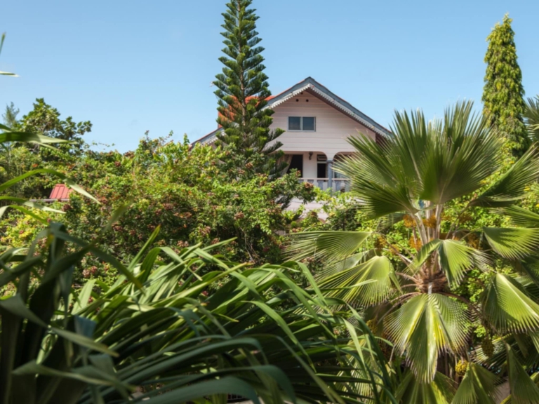 Chateau Sans Souci 27 291045940 1926474937542229 8321962002563395041 n 768x576