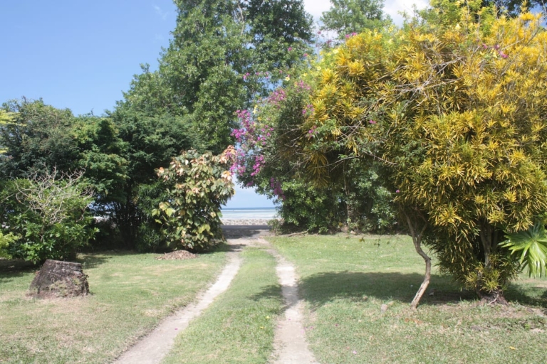 Seiten 8 4437a049 c0ac 4a32 b932 7a28b462f41b 768x512