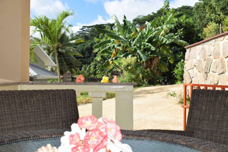 Zeph Selbstversorgung 16 49895555 333149180742349 1756460788760969216 n 768x512