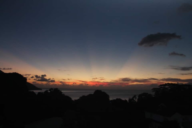 Seiten 7 8bfa9423 7b96 4f6d 84a2 efee515ff9aa 2 768x512