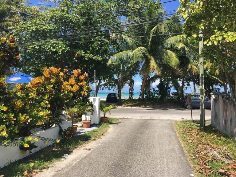 Creole Breeze 8 creole breeze 5 768x576