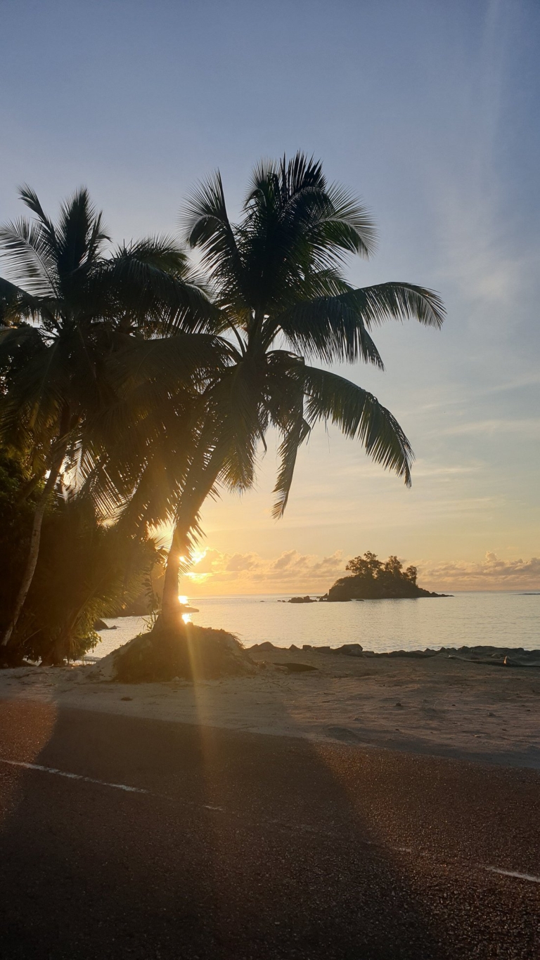 Seiten 5 creole breeze 6 768x1366