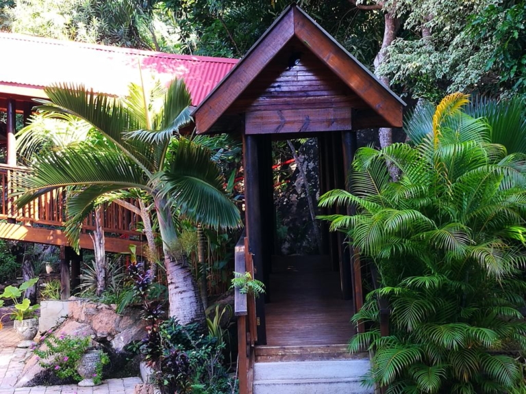 gecko villa 2 768x576