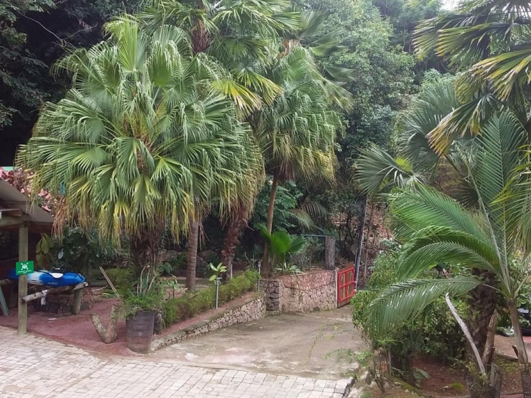 gecko villa 4 768x576