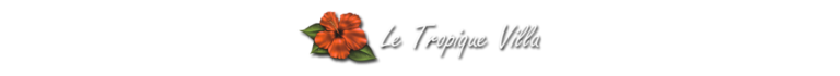 Tropic Villa Annex 4 normal logo 13 768x70