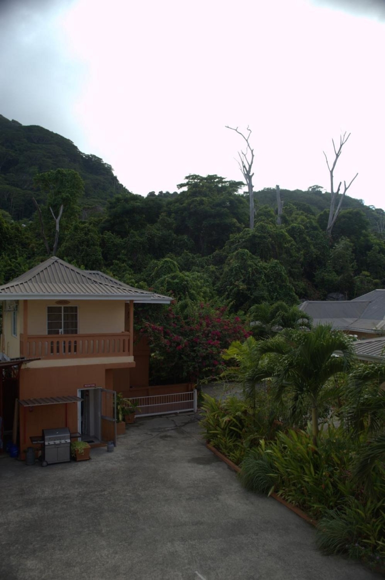 Palmont Apartments Selbstversorgung 12 palmont apartments 4 768x1155