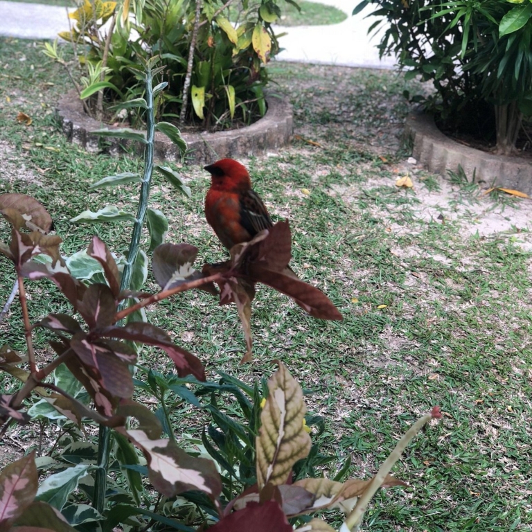 Veronic Selbstversorgung 7 photo0jpg 4 768x768