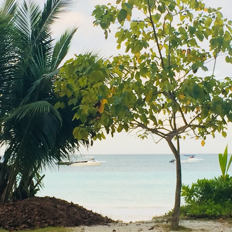 Chez Muriel 4 photo1jpg 5 768x768