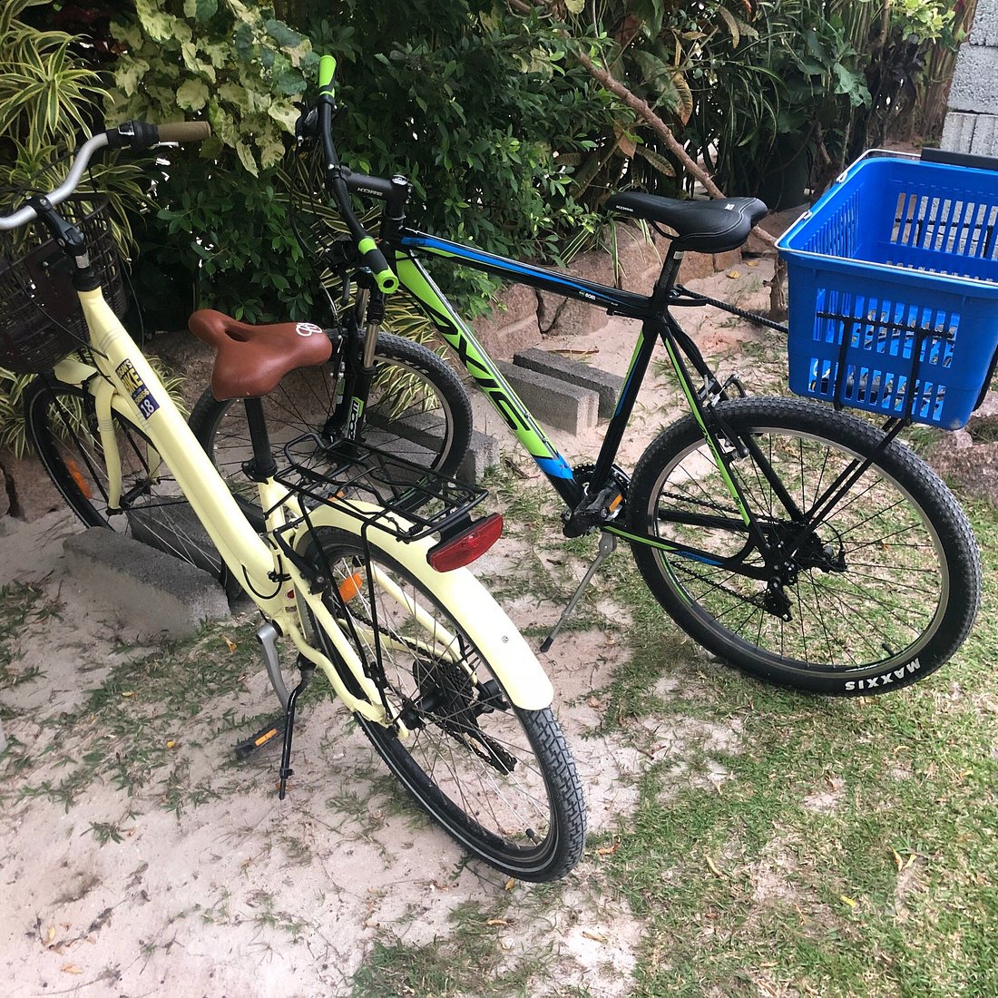 Veronic Selbstversorgung 3 photo2jpg 4